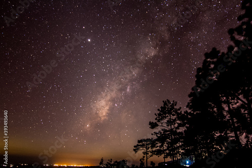 milky way in night sky over forest mountain