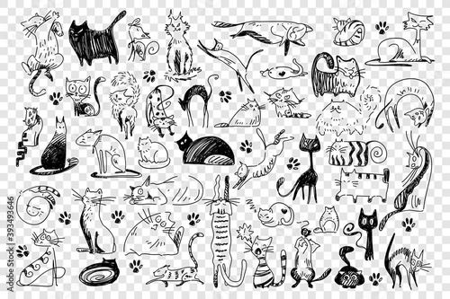 Cats doodle set. Collection of hand drawn childish patterns domesticated animals kitties kitten pets in different poses isolated on white background. Human friends vector illustration for kids.