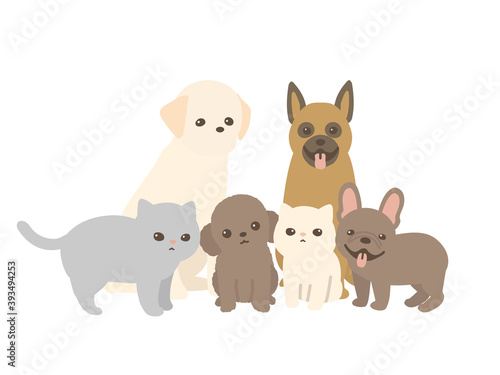 ペット達　動物集合　犬と猫　