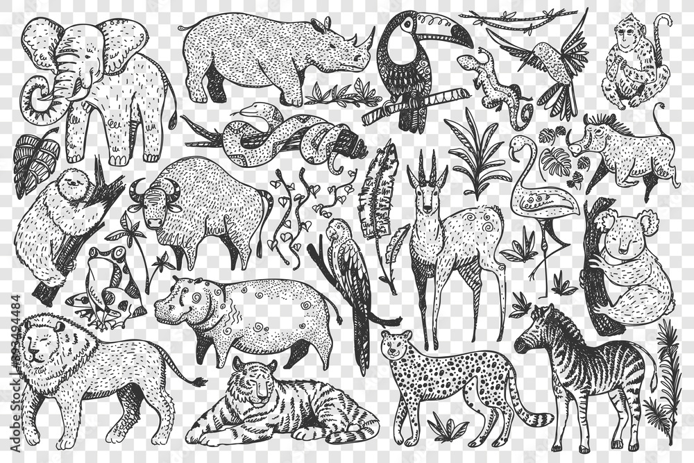 Fototapeta premium Animals doodle set. Collection of funny hand drawn cute wild african safari mammals isolated on transparent background. Illustration of leopard lion snakes monkey zebra giraffe elephant for kids.
