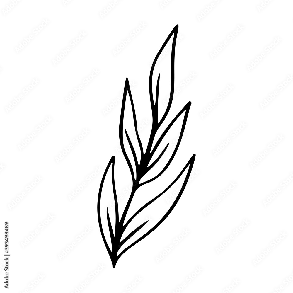 palm leaf stylized vector illustration. palm leaf stylized vector illustration.