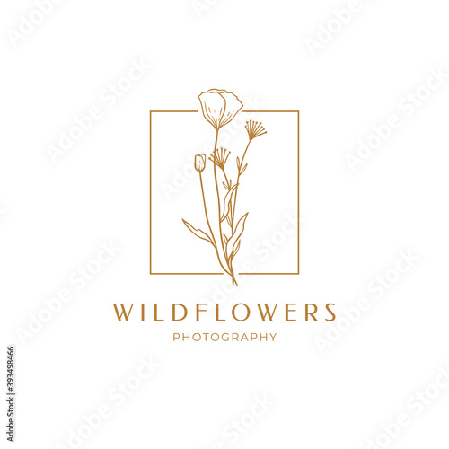 Floral poppy label for package. Wildflower linear logo sketch. Floral frame emblem for wedding, photographer brand