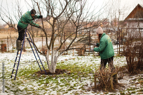 Foto gardening team, cute caucasian female gardeners pruning apple tree branches with
