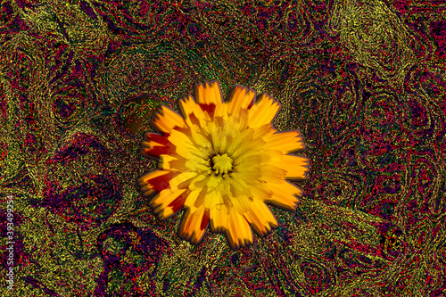 Fondo abstracto psicodélico. Superficie de remolinos de colores. Fondo abstracto fractal con un diente de león aislado en colores cálidos.