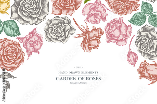 Floral design with pastel roses
