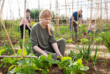 Portrait of young adult woman working on small family vegetable farm