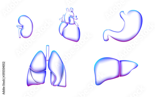 Human organ icon symbol medicine logo set.Lungs heart kidney liver stomach internal medicine organ health care. Pharmacy banner doctor online analysis vector illustration