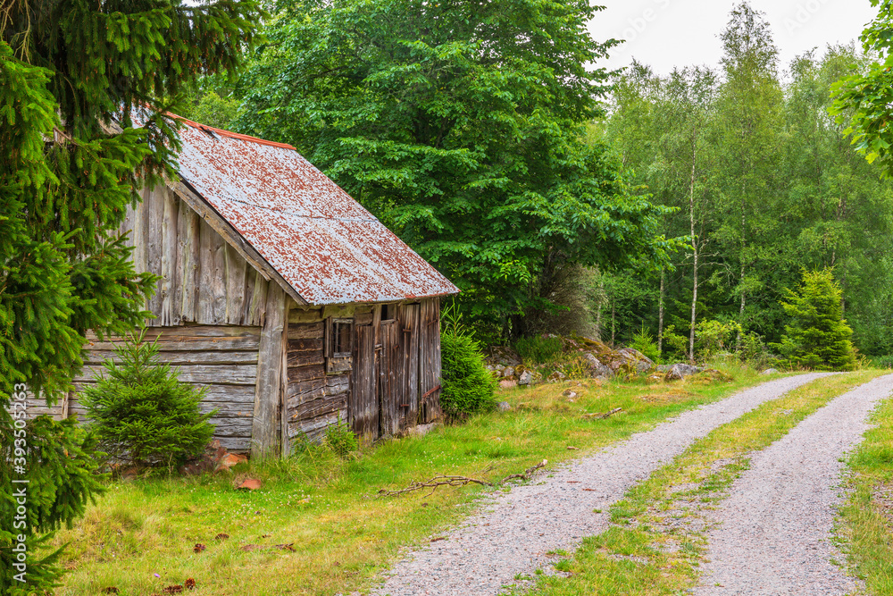 Old Shed in a road in the woods Old Shed in a road in the woods
