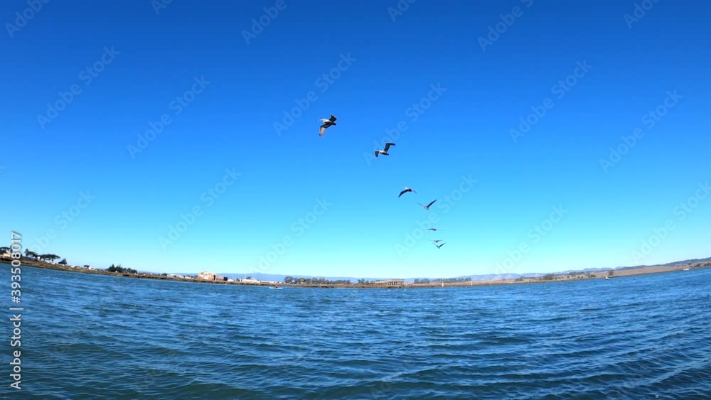 POV of person bird watching on a kayak at Elkhorn Sloughs in Moss Landing, California. 4K video. POV of person bird watching on a kayak at Elkhorn Sloughs in Moss Landing, California. 4K video.
