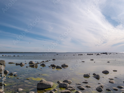 Fototapeta Naklejka Na Ścianę i Meble -  baltic sea in summer
