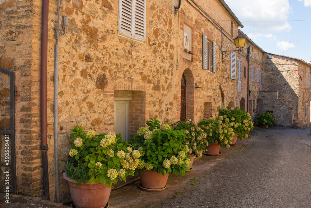 Fototapeta premium Residential buildings in an historic street in the medieval village of Murlo, Siena Province, Tuscany, Italy 