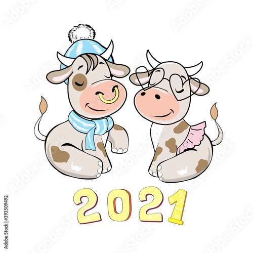Two cute cows boy and girl sit on the digits 2021. Symbol 2021. Vector cartoon illustration