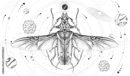 Modern magic witchcraft card with solar system and longhorn beetle. Hand drawing occult vector illustration
