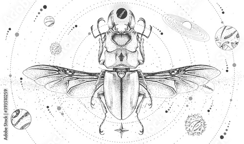 Modern magic witchcraft card with solar system and beetle. Hand drawing occult vector illustration