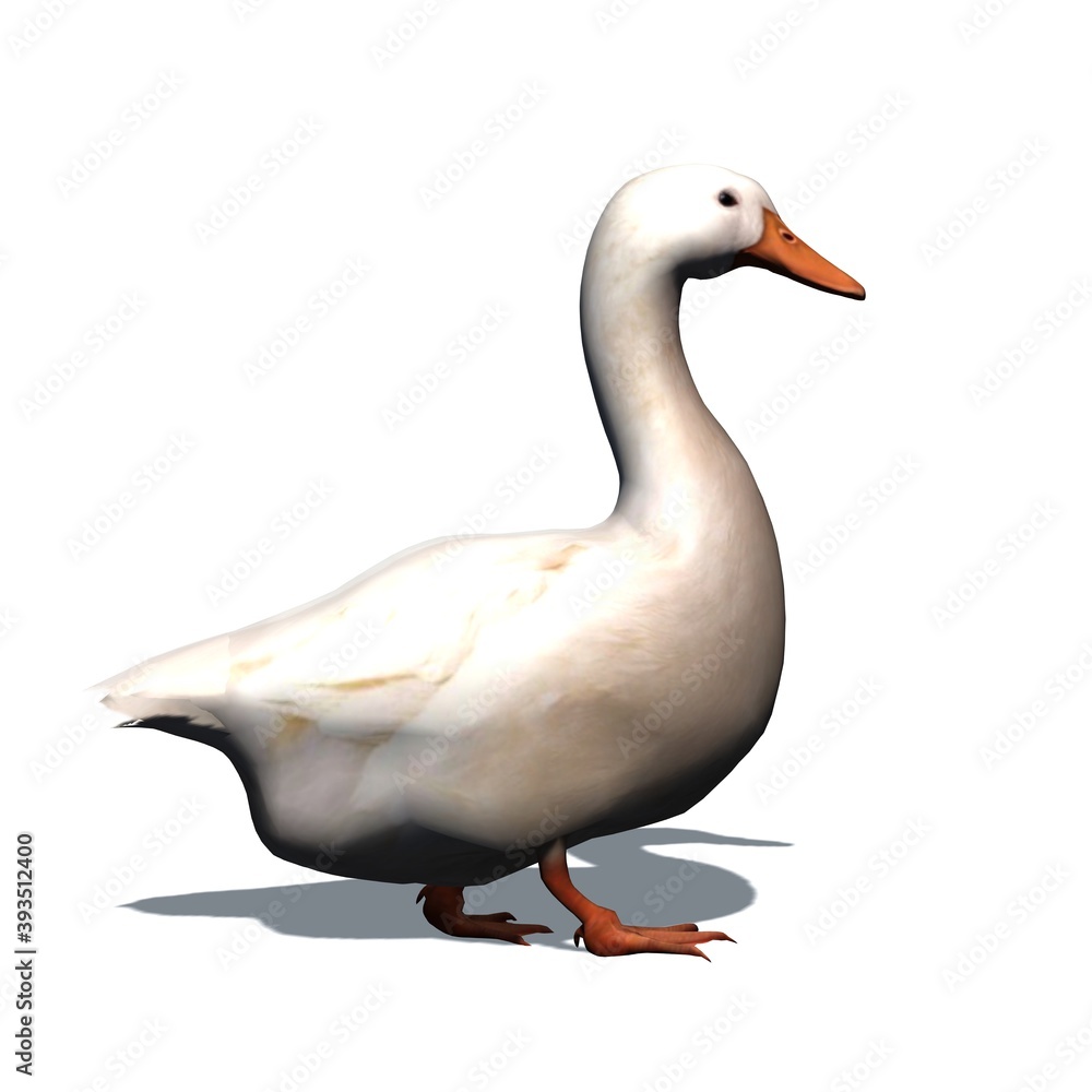Farm animals - white goose with shadow on the floor - isolated on white background - 3D illustration Farm animals - white goose with shadow on the floor - isolated on white background - 3D illustration