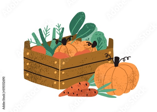 Local organic harvested crops in a wooden box. Autumn vegetables like pumpkin and carrots. Harvest gathering time. Agricultural concept. Textured flat vector illustration isolated on white background