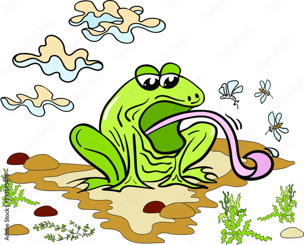 Fototapeta premium frog with a long tongue in a swamp with midges