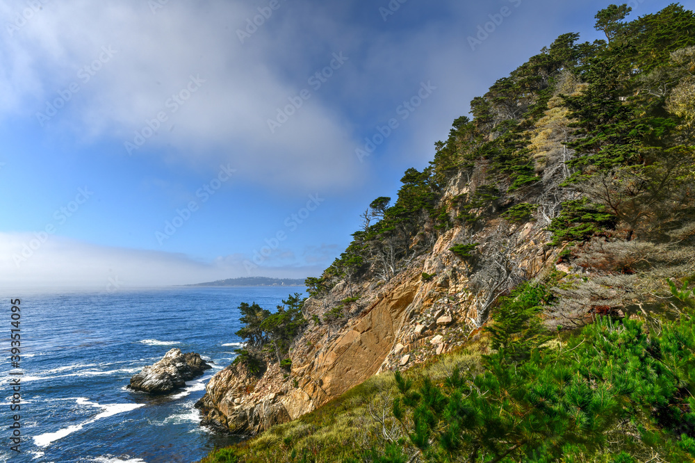 Point Lobos State Natural Reserve - California