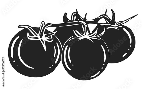Tomatoes. black and white drawing. vector graphics in simple style. silhouette of vegetables