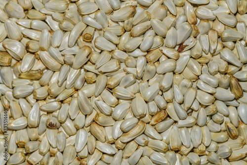 Valokuva Safflower (Carthamus tinctorius) seeds in detail