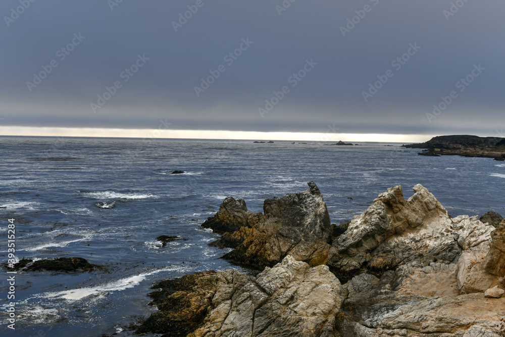 Bird Island - Point Lobos, California