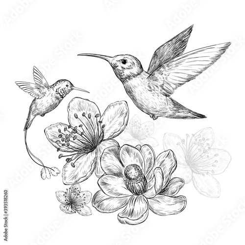 Sketch with hummingbirds and beautiful flowers on a white background © Lucky Project