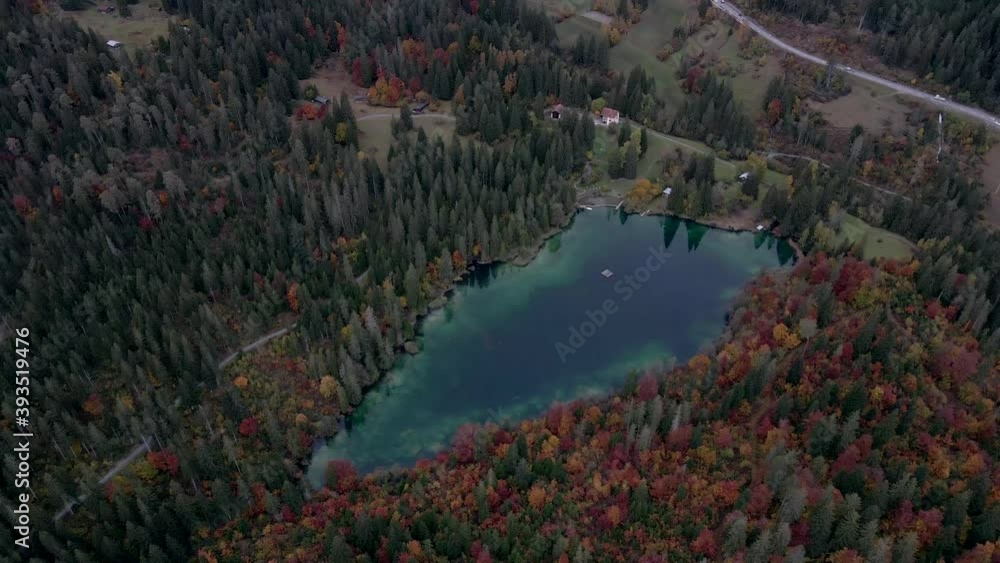 Blue lake surrounded my forest in autumn panning aerial shot Blue lake surrounded my forest in autumn panning aerial shot