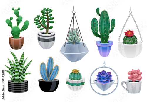 Cactus Plants Icon Set