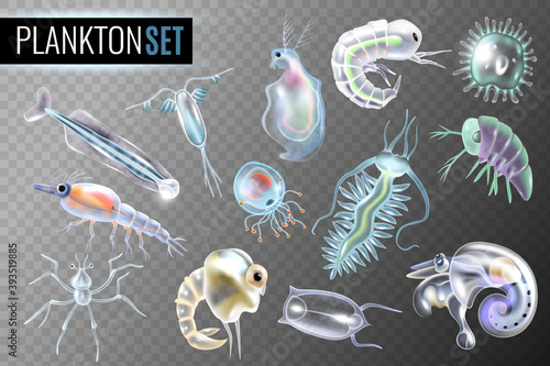 Plankton Transparent Set
