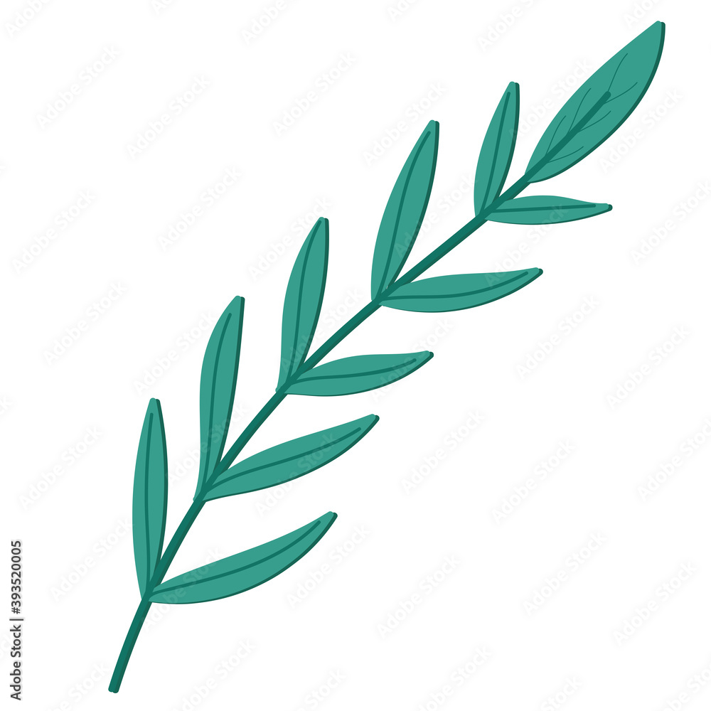 Obraz premium branch leaves foliage nature icon isolated
