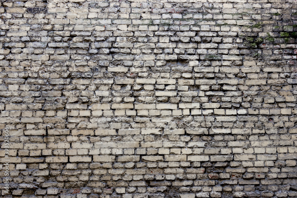 A wall of dirty, moldy, scratched white brick.