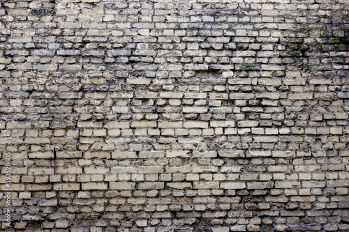 A wall of dirty, moldy, scratched white brick.