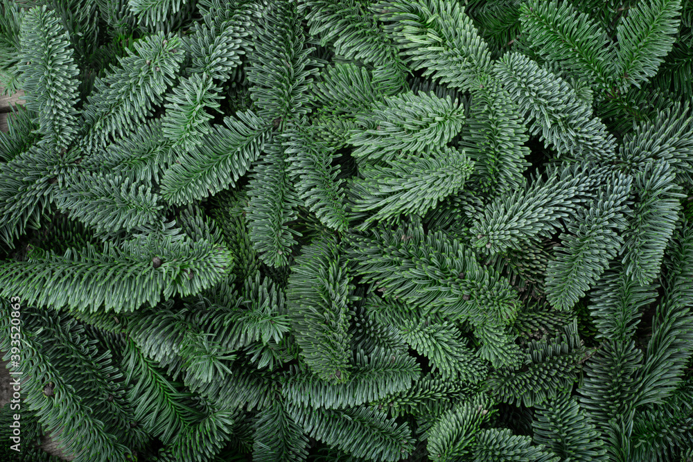 Christmas tree background Christmas tree background