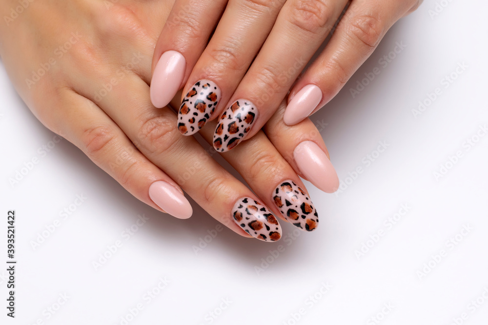 Leopard manicure on long oval nails close-up on a white background. Pink pearlescent manicure. Leopard manicure on long oval nails close-up on a white background. Pink pearlescent manicure.