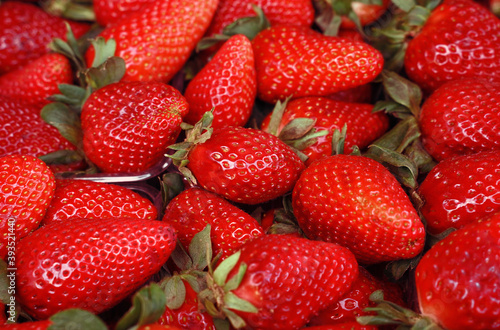 strawberries close up. strawberry harvest. selective focus