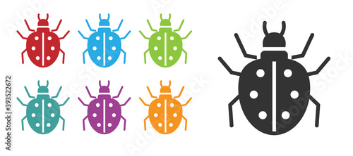 Black Mite icon isolated on white background. Set icons colorful. Vector.