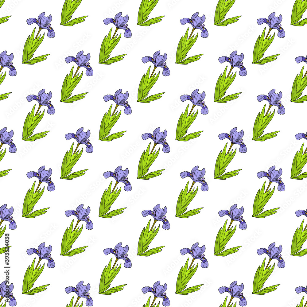 Seamless pattern with Dwarf lake iris Seamless pattern with Dwarf lake iris