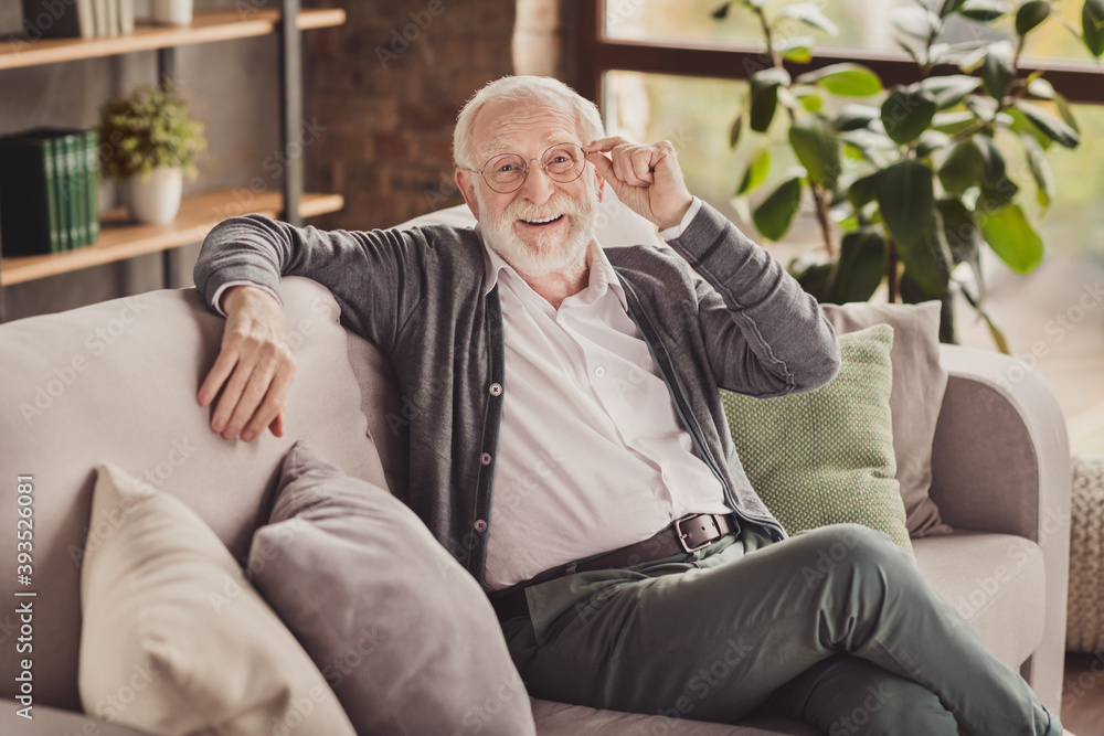 Photo of handsome pensioner wear grey cardigan smiling arm glasses sitting couch indoors house flat