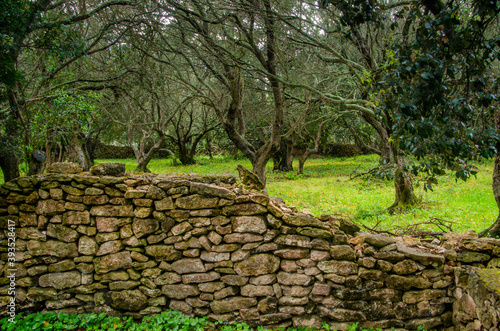 old natural stone wall against a green background © FaRifo