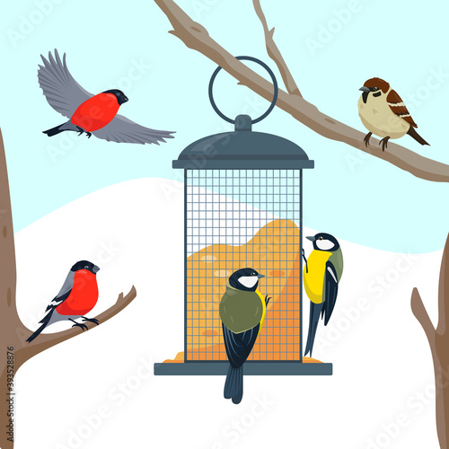 Bird feeder on the tree branch and birds.