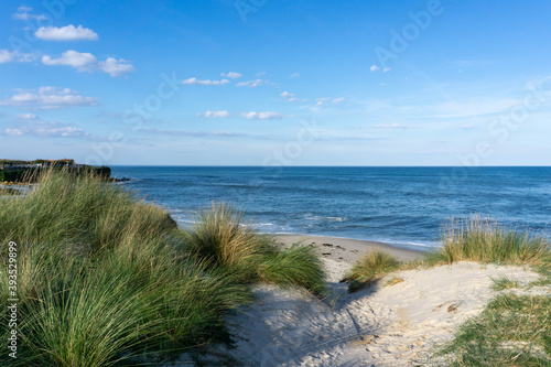 beach access through marsh grass and sand dunes to a secluded sandy beach photo