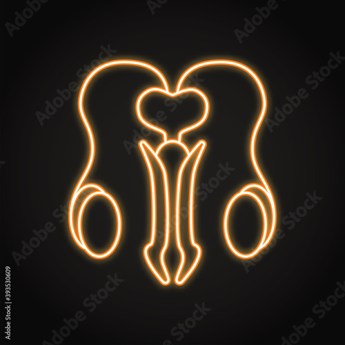 Male reproductive system neon icon in line style