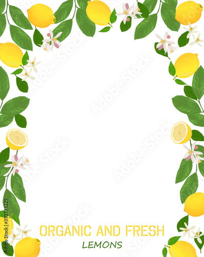 Lemons fresh lemon border vector illustration, food frame with text space
