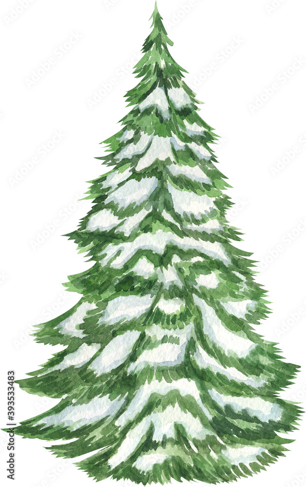 Watercolor christmas illustration. Watercolor Christmas tree with snow. 