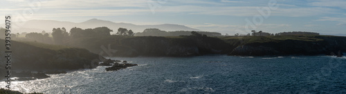 Εκτύπωση καμβά panorama view of the misty and rocky tree-lined shore in Galicia