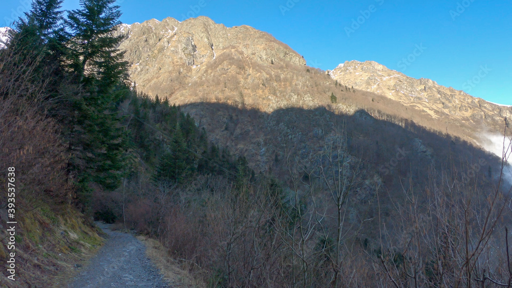 The Valley Val d’Astau, southwest of Bagneres de Luchon in the French Pyrenees. The trail to Lake d'Oô, Haute-Garonne, France. The dominant tree species are deciduous trees (Elm, Ash, Maple). The Valley Val d’Astau, southwest of Bagneres de Luchon in the French Pyrenees. The trail to Lake d'Oô, Haute-Garonne, France. The dominant tree species are deciduous trees (Elm, Ash, Maple).