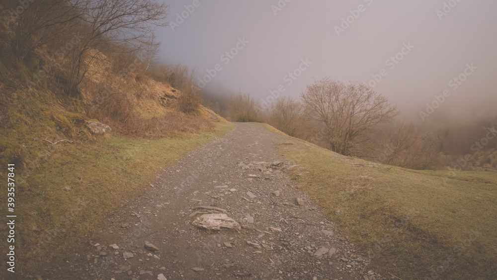 Fototapeta premium The Valley Val d’Astau, southwest of Bagneres de Luchon in the French Pyrenees. The trail to Lake d'Oô, Haute-Garonne, France. The dominant tree species are deciduous trees (Elm, Ash, Maple).