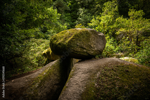 Granite boulders in the forest of Huelgoat