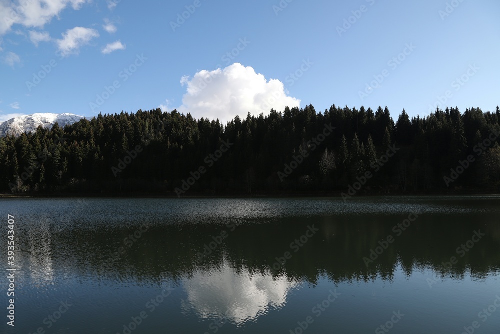 Autumn forest lake water view. Forest lake water in autumn. Autumn forest lake. Autumn forest lake view