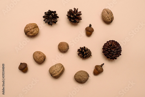 walnut sin shell, acorns and cones on a beige background